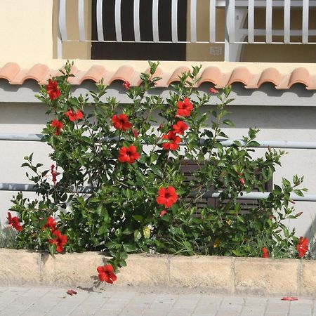 Baia Dei Canonici Aparthotel Villaggio Le Rocelle Kültér fotó