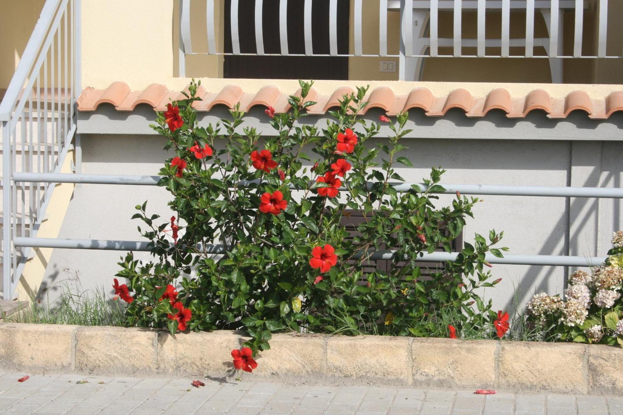 Baia Dei Canonici Aparthotel Villaggio Le Rocelle Kültér fotó