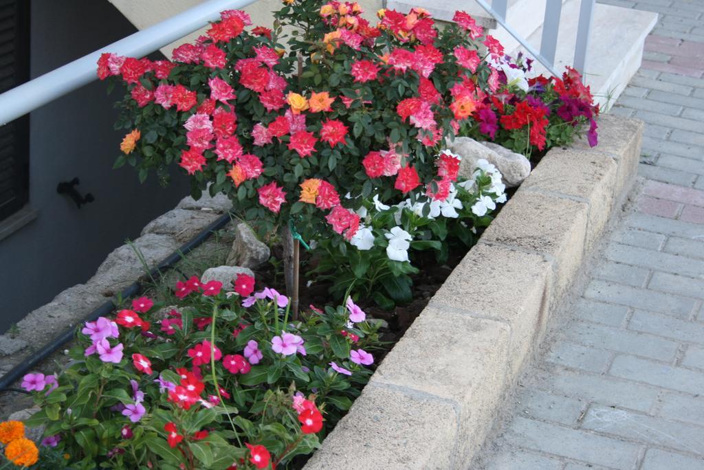 Baia Dei Canonici Aparthotel Villaggio Le Rocelle Kültér fotó